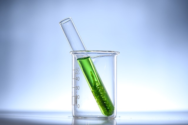 Chlorella ve zkumavce.jpg